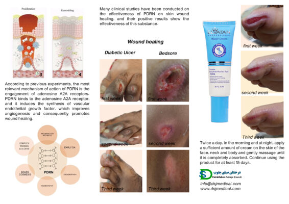 درخشان صبای جنوب